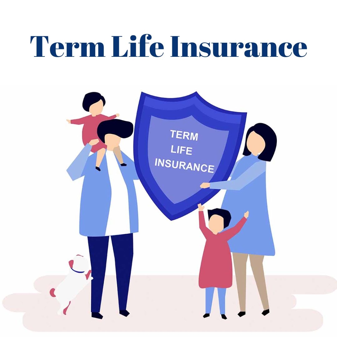 Term Life Insurance 11